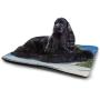 DayDayFun Ocean Cat Mat Sunrise on Waves Surfer Perspective Surreal Coastal Charm Sports Lifestyle Scene Pet Mat Waterproof Blue Pale Mauve