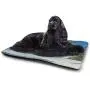 DayDayFun Ocean Cat Mat Sunrise on Waves Surfer Perspective Surreal Coastal Charm Sports Lifestyle Scene Pet Mat Waterproof Blue Pale Mauve DayDayFun Ocean Cat Mat Sunrise on Waves Surfer Perspective Surreal Coastal Charm Sports Lifestyle Scene Pet Mat Waterproof Blue Pale Mauve