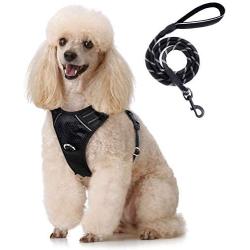 rabbitgoo No Pull Dog Harness and Leash Set with 2 Metal Clips Reflective Front Walking Harness for Small Medium Large Dogs Adjustable Padded Pet Vest Harnesses with Easy Control Soft Handle