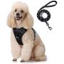 rabbitgoo No Pull Dog Harness and Leash Set with 2 Metal Clips Reflective Front Walking Harness for Small Medium Large Dogs Adjustable Padded Pet Vest Harnesses with Easy Control Soft Handle