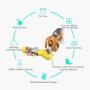 ZTT Dog Water Dispenser, 4-in-1 Multi-Function Leak-Proof cat and Dog Travel pet Water Dispenser with Water Dispenser, Used for pet Outdoor Walking, Hiking, Travel, Food Grade BPA-Free 10OZ (300ML)