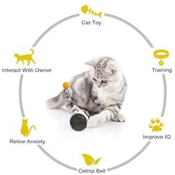 LATIBELL Interactive Smart Cat Toy, Pet Balance Swing Tumbler Car Design Toy with Catnip Ball, Self Rotating Moving Exercise Chaser Toy for Indoor Cat Kitten