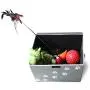 Feline Ruff Large Dog Toys Storage Box and Cat Teaser Wand Holder Bundle. 16'' x 12'' inch Pet Toy Storage Basket with Lid and a Unique Cat Toy Storage Solution