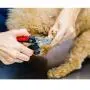 BAIRUI Dog Nail Clippers and Heavy Duty Nail Clipper for Large Dogs,Professional Nail Trimmer for Dogs and Cats,Pet Nail Trimmer with Safety Guard to Avoid Over-Cutting Nails & Free Nail File BAIRUI Dog Nail Clippers and Heavy Duty Nail Clipper for Large Dogs,Professional Nail Trimmer for Dogs and Cats,Pet Nail Trimmer with Safety Guard to Avoid Over-Cutting Nails & Free Nail File