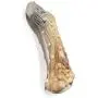 Nylon DuraChew Venison Flavored Antler Shaped Extra Tough Strong Dog Chew Toys(Medium 5 1/2'' 1 Antler)