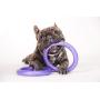 2 Puller Mini Interactive Dog Toy 7.5'' Rings, Purple, for Small Breed Dogs