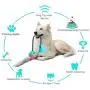 ROWAI Dog Chew Toys for Aggressive Chewers, Suction Cup Dog Chewing Toy, Dog Rope Ball Toys with Suction Cup for Small Large Dogs, Puppy Dog Teeth Cleaning Interactive Pet Tug Toy for Boredom