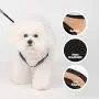 PETTAIL Dog Harness No Pulling Easy Adjustable Puppy Vest Suede Leather Harness Handmade by Korean Comfortable Neck for Small Medium Size Dogs PETTAIL Dog Harness No Pulling Easy Adjustable Puppy Vest Suede Leather Harness Handmade by Korean Comfortable Neck for Small Medium Size Dogs