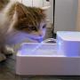 cjc 1.8L LED Automatic Pet Water Fountain with LED Light 12V Pet Waterer Safe Drinking Bowl for Dogs Cats