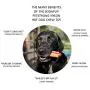 Soda Pup Dog Hot Dog Toy - Tough Dog Toys - Durable Dog Toys - Dog Chews For Aggressive Chewers - Chew Toy - Dog Toy Made In USA - Medium Dog Toys Soda Pup Dog Hot Dog Toy - Tough Dog Toys - Durable Dog Toys - Dog Chews For Aggressive Chewers - Chew Toy - Dog Toy Made In USA - Medium Dog Toys