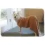 Ultra-Absorbent Pet Bath Towel for Small, Medium, Large Dogs and Cats, Machine Washable 44'' x 28'' Inch. Ultra-Absorbent Pet Bath Towel for Small, Medium, Large Dogs and Cats, Machine Washable 44'' x 28'' Inch.