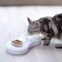 Love Dream Cat Bowls Elevated, Raised Cat Food Bowls with Stand, 0/20° Tilted Cat Food Water Bowl Stress-Free Suit for Cats Small Dogs