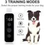 Epioneer Dog Shock Collar for 2 Dogs, Waterproof Rechargeable Electric Dog Training Collar with Remote for Small Medium Large Dogs,with 3 Training Modes