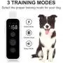 Epioneer Dog Shock Collar for 2 Dogs, Waterproof Rechargeable Electric Dog Training Collar with Remote for Small Medium Large Dogs,with 3 Training Modes