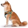 Scooby-Doo Warner Brothers Dog Harness | Soft and Comfortable Medium Dog Harness Dog Harness No Pull Tan and Blue Dog Harness