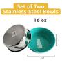 American Pet Supplies Dog Bowls, Set of 2 Colored Heavy Gauge Stainless Steel Bowls for Puppies and Dogs