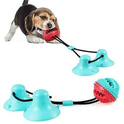FANZ Pet Molar Bite Toy, Dog Chew Toys for Aggressive Chewers, Dog Rope Toys with Suction Cup for Teeth Cleaning