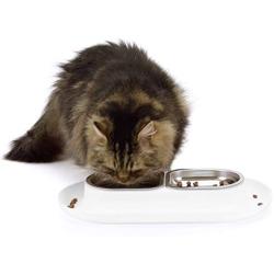 Hepper - Nomnom Modern Cat Bowl - Whisker Friendly + No Spill - Stainless Steel Pet Food and Water Dish for Cats, Dogs, and Small Pets