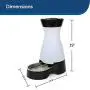 PetSafe Healthy Pet Gravity Food or Water Station, Automatic Dog and Cat Feeder or Water Dispenser, Small, Medium, Large