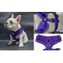 Dog Harness Adjustable No Pull Soft Padded Mesh Eco-Friendly No Choke Control Made for XS Small Medium Large XL Walking for Dogs and Puppies