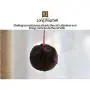 WWYM Cat Tree Cat Tower Cat Condo Cat Furniture Activity Center Kitten Play House Cat Bed Sisal Scratching Posts and Double Platforms,Purple
