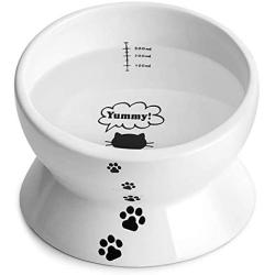 Y YHY Cat Bowls Elevated, Raised Cat Dish for Food and Water, Ceramic Water Bowl for Flat-Faced Cats or Small Dogs, No Spill,15 Ounces, Dishwasher Safe