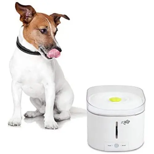 ALL FOR PAWS Automatic Cat Water Fountain Dog Water Dispenser Pet