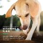 Wet Ones for Pets Hypoallergenic Multi-Purpose Dog Wipes with Vitamins A, C & E | Fragrance-Free Hypoallergenic Dog Wipes for All Dogs Wet Ones Wipes with Wet Lock Seal