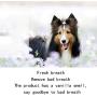 Dog Toy bite-Resistant Anti-wear Tooth Ball Ball Toy Puppies Puppies Big Dog pet Supplies (Color : A)