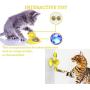 Anxyuan Cat Windmill Toy Turntable Teasing Interactive Pet Supplies for Cat Scratching Tickle Hair Brush with Catnip and Bell for Indoor Cats Anxyuan Cat Windmill Toy Turntable Teasing Interactive Pet Supplies for Cat Scratching Tickle Hair Brush with Catnip and Bell for Indoor Cats
