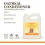 Burts Bees for Dogs Natural Oatmeal Conditioner with Colloidal Oat Flour and Honey | Oatmeal Dog Conditioner, 1 Gallon | Cruelty Free, Sulfate & Paraben Free, Soothing Dog Conditioner for All Dogs