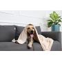 Uvoguepaw Bath Towel for Dog Pets Gifts Accessories and Supplies for Cleaning Puppy Microfiber Size 2847 for Small, Medium and Large Pets
