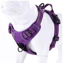 juxzh Truelove Soft Front Dog Harness .Best Reflective No Pull Harness with Handle and 2 Leash Attachments