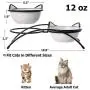 Y YHY Cat Bowls,Elevated Cat Food Water Bowls,Raised Cat Bowls with Stand,Ceramic Pet Dishes for Cats and Small Dogs,12 Ounces,Dishwasher Safe Y YHY Cat Bowls,Elevated Cat Food Water Bowls,Raised Cat Bowls with Stand,Ceramic Pet Dishes for Cats and Small Dogs,12 Ounces,Dishwasher Safe