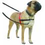 The Company of Animals Pet Harness