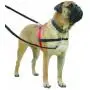 The Company of Animals Pet Harness The Company of Animals Pet Harness