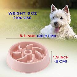 Pet Dog Puppy Slow Feeder Bowl at Home Travel Echo Friendly No Chocking | Bowl for Puppies, Small to Medium Size Dogs | Not Suitable for Cats