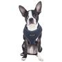 Authentic Puppia Soft Harness, Grey, Small