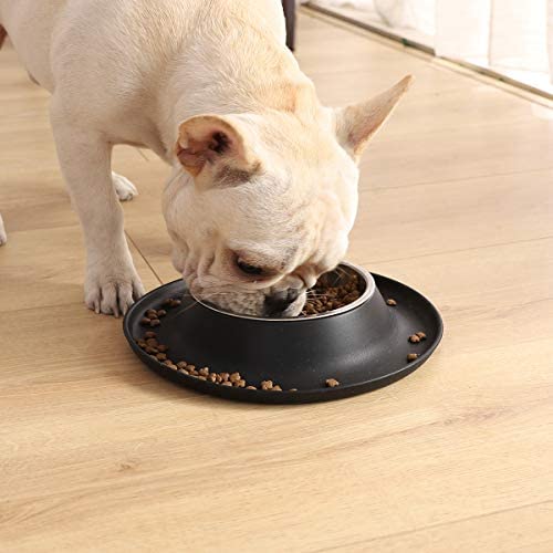 Amazon Basics Round Silicone Mat and Pet Bowl