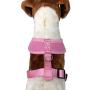 Dog Harness for Small Dogs - No Pull Breathable Mesh Harnesses for Small & Medium Breed Dogs - Puppy Vest for Walking & Running - Adjustable Body Harness - Sizes XS S M L