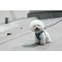 Voyager Step-in Plush Dog Harness - Soft Plush, Step in Vest Harness for Small and Medium Dogs by Best Pet Supplies Voyager Step-in Plush Dog Harness - Soft Plush, Step in Vest Harness for Small and Medium Dogs by Best Pet Supplies