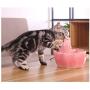 THMY Pet Fountain,Cat and Dog Water Dispenser,360° Multi-Directional Streams,Large Capacity,Extremely Quiet，Ceramic Automatic pet Water Dispenser (Pink Carp)