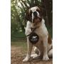 Collapsible Dog Bowl (Black) - 850ml