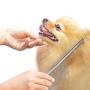 Meric Pet Grooming Comb, 7.5'' x 1.3'' Stainless Steel Teeth, De-Tangling Brush, Removes Tangles, Mats, Loose Fur & Dirt, Stimulates Hair & Skin Follicles, Perfect for Small & Medium Cats & Dogs, 1-pc