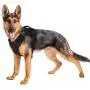 Tactical Service Dog Harness, Adjustable Military Working Dog Harness Tear-Resistant for Heavy Duty, Hunting, Walking, Hiking - Training Harness with Handle Easy Control for Large and Medium Dogs Tactical Service Dog Harness, Adjustable Military Working Dog Harness Tear-Resistant for Heavy Duty, Hunting, Walking, Hiking - Training Harness with Handle Easy Control for Large and Medium Dogs