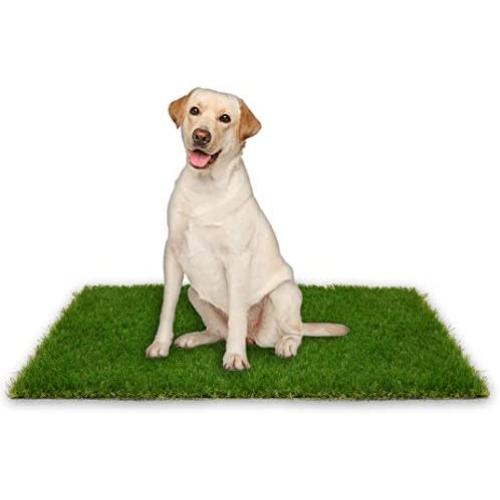 Oiyeefo Artificial Pet Pee Grass Mat for Puppy, Pet Turf Fake Grass Replacement Pad for Dog Potty Training, Indoor and Outdoor - 2 Packs (18'' x 23'')