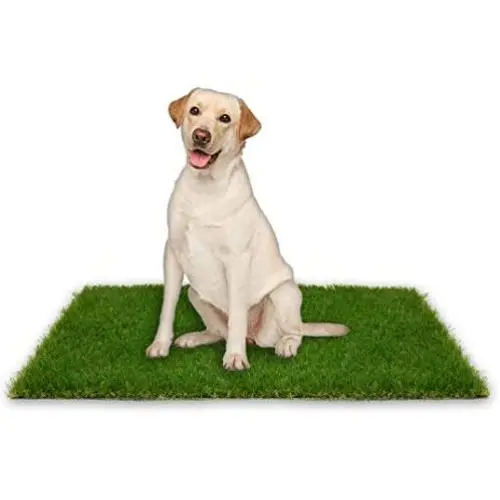 Oiyeefo Artificial Pet Pee Grass Mat for Puppy, Pet Turf Fake Grass Replacement Pad for Dog Potty Training, Indoor and Outdoor - 2 Packs (18'' x 23'')