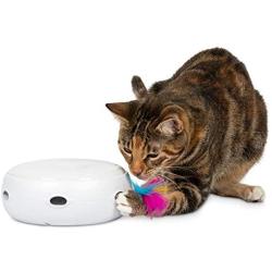 PetFusion Ambush Interactive Electronic Cat Toy with Rotating Feather. (Smart Modes, Nighttime Light, Auto Shut-Off, Batteries Included). Replacement Feathers Available. 12 Month Warranty