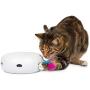 PetFusion Ambush Interactive Electronic Cat Toy with Rotating Feather. (Smart Modes, Nighttime Light, Auto Shut-Off, Batteries Included). Replacement Feathers Available. 12 Month Warranty
