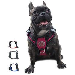 FOSSMAO No Pull Dog Harness Adjustable Reflective Oxford Easy Control Medium Large Dog Harness with A Free Dog pet Collar Lights